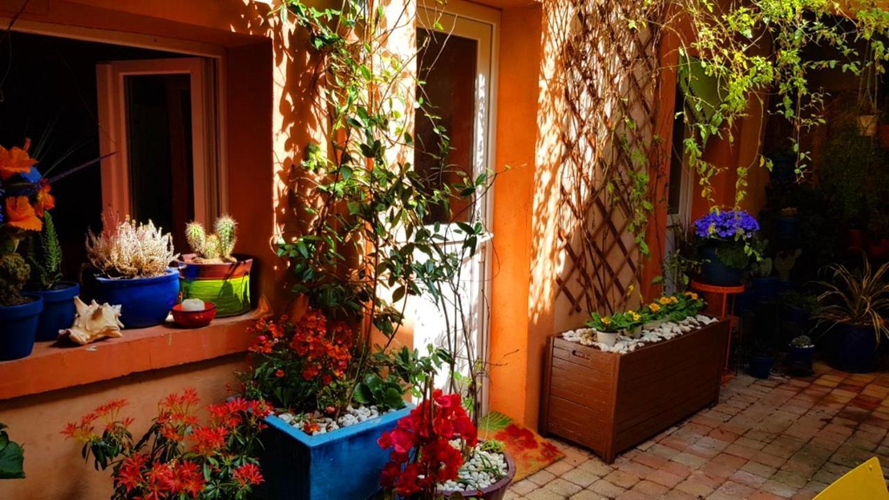 Petit Patio En Centre Ville Νιμ Εξωτερικό φωτογραφία